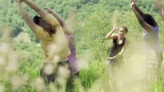 Southern Appalachian Highlands Conservancy - Have you seen our work?
