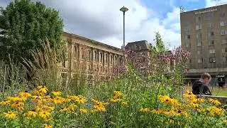 Bradford Streetlife - ST GEORGE'S HALL beyond the wild flower garden, Bradford