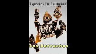 Especies En Extincion   Los Borrachos
