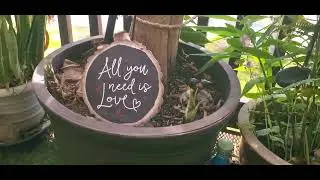 Welcome to the Love Garden for Just Make Us Legal simple wedding ceremonies Kapolei Hawaii