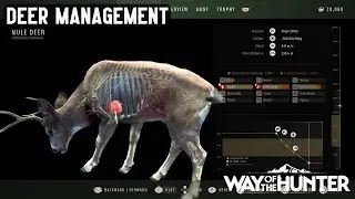 Deer Management Way of the Hunter