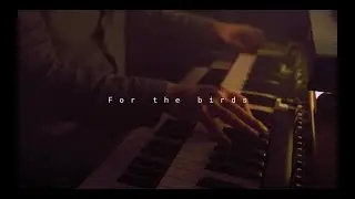 Sunscape - For The Birds (studio live)