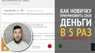 Дебиторка для новичка! Как увеличить вложенный капитал в 5 раз?