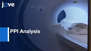 PPI Analysis of Memory Related Connectivity | Protocol Preview