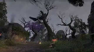Elder Scrolls Online - Exorcised Coven Cottage