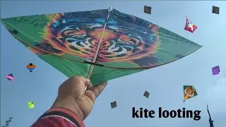Looting kites in ground 🏡 kite looting New video 🪁 kite catching in ground 😀 kite flying #patangbazi