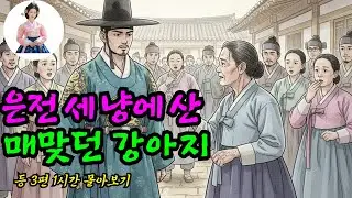 야담장인 1시간 몰아보기ㅣ매맞는 강아지를 산  노파, 밝혀진 20년전의 진실 등 3편
