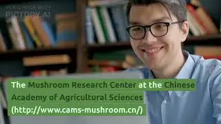 Top 15 Places for Free Mushroom Samples for Research: A Guide for Mushroom Researchers