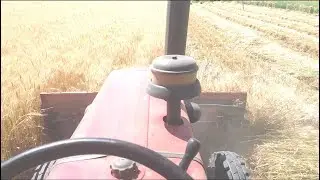 Israel of   Agriculture Technology 2019  | gehu katai machine  | desi village life
