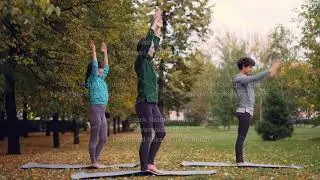 Slender young women are exercising outdoors bending forwards and backwards stretching body and arms
