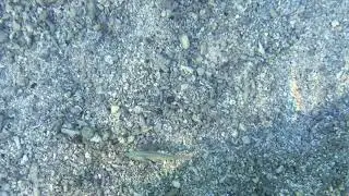 Relaxing Video | Ocean clear water natural sounds Расслабляющее антистресс видео | Природа, океан