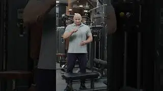 Planning to Open a New Gym? India&rsquo;s Biggest Gym Equipment Showroom | ProBodyline Fitness