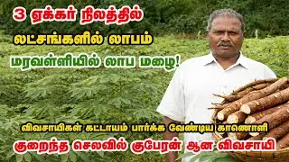 வேலைப்பளு இல்லை&hellip; நோய் இல்லை&hellip; லாபம் மட்டுமே..! மரவள்ளிக்கிழங்கு சாகுபடி ரகசியம் | Tapioca Cultivation