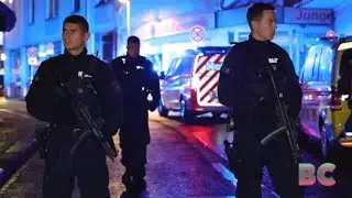 German festival stabbings: 3 dead, 9 knifed in rampage at diversity event