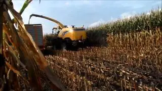 Loonbedrijf Bomkamp aan het maishakselen