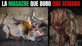 CUANDO una LEONA FUE ASESINADA&hellip; y las HIENAS PAGARON con un INFIERNO de 7 D&Iacute;AS