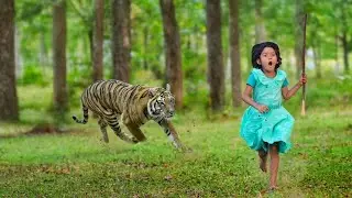 Danger Attack Stores || in forest of Lion Attacked || by village boys forest crossing 🚸