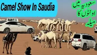 King Abdul Aziz Camel Festival  2023 | Camel Show In Saudi Arabia | Digital Diary 571