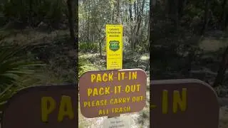 Point Washington State Forest, FL, site 3. #florida #hiking #camping