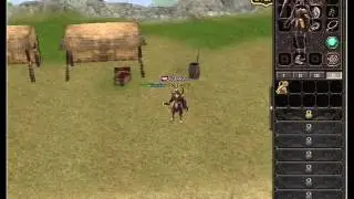 Metin2ro - Extindere inventar Cordelus
