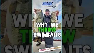 New Year. BAD Weather. BIG Swimbait Bass! 💥🎣 | Lake Don Pedro #fishing  #swimbait #bassfishing