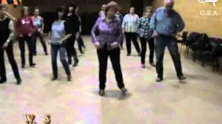 CRAZY PEOPLE -- Country & Linedance (Teach & Dance) -- Instructional Video