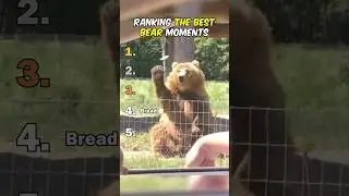 Ranking The Best Bear Moments