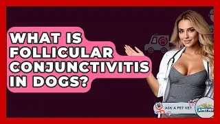 What Is Follicular Conjunctivitis In Dogs? - Ask A Pet Vet