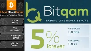[SCAM] Bitqam - Profit from 5%/day for lifetime.