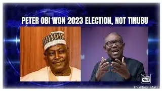 Peter Obi Not Tinubu won the 2023 presidential election by Babachir Lawal 