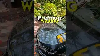 POV Detailing Premium Car in Kerala   #mallu #interiorcarcleaning #automobile #cars