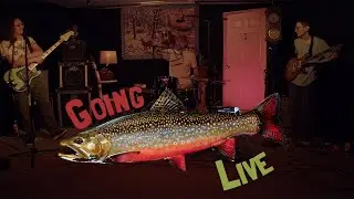 Going Live: Kilgore Trout
