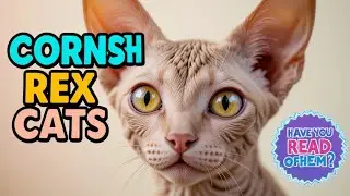 Did You Know About Cornish Rex Cats? 🐱 Amazing Facts!