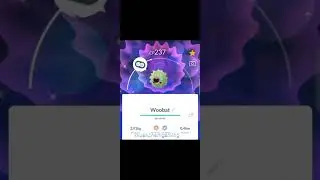 pokemon shiny Woobat #shorts