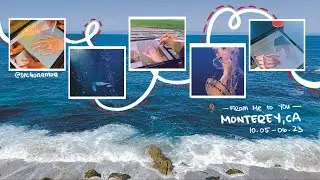 Solo Trip (Birthday Vacation in Monterey, Ca) | Art Study by the beach | Relaxing Somewhere Else