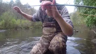 Spring Creek Fly Fishing