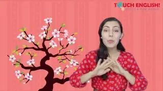 Touch English! Songs - We Love Tet Holiday