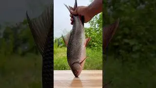 Rohu Fish Fry in Tawa Delicious Recipe | Pm Cooking | #shorts