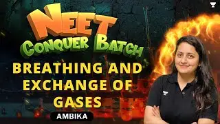 Breathing and Exchange of Gases | Detailed Marathon | NEET 2024 Conquer Batch | Ambika Sharma