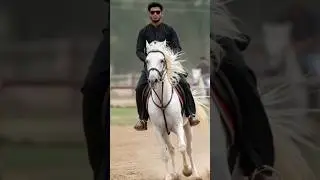 Trending Instagram Viral Ai horse riding Photo Editing Google Gemini #Ai #Shorts #trending #viral