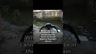 Medium Rare Memes #003