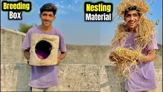 🐦 Birds Ke Liye Nesting Material Lekar Aaya | New Setup Mini Farm Mein |❤️