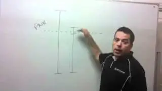 The Body Leadership Concept