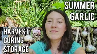 S3E39 - Summer Flashback - Garlic? Yes, Please! Our Harvest & Off Grid Curing