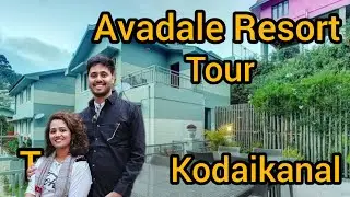 Avadale Kodaikanal Resort Tour - 2 - Room and Kitchen tour | #cozy #kodaikanal #youtube #couple