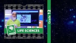 Structure of Male & Female Reproductive Systems