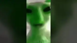 Alien cat