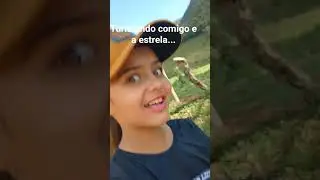 Turistando comigo a estrela🐎👩&zwj;🌾 #ro&ccedil;a #cavalo #vidaboa #vidanaro&ccedil;a #natureza #paz #fypシ゚viral