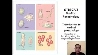 GTB307 2019 2020 LS17 Introduction to Medical Protozoology