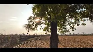 Nature - Cinematic Video | Shoot on CMF  Phone 1 by Nothing